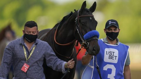 Six things to know about death of Kentucky Derby winner Medina Spirit